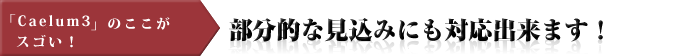 「Caelum3/アドバンスモデリング」のここがスゴい！ 部分的な見込みにも対応出来ます！